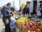В Севастополе не прекращается борьба со стихийщиками
