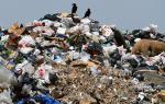 В Севастополе ликвидируют несанкционированные свалки