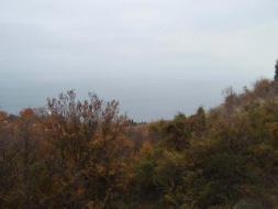 Земельный участок, 25 соток, Ялта, Парковое 