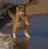 test test